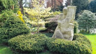 Meditační zahrada v Plzni 28.4.2026 / 17