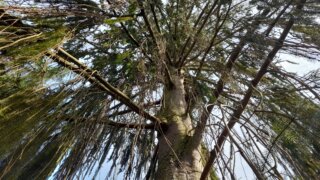 Meditační zahrada v Plzni 28.4.2026 / 22