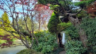 Meditační zahrada v Plzni 28.4.2026 / 24