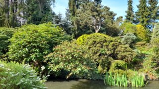 Meditační zahrada v Plzni 28.4.2026 / 26