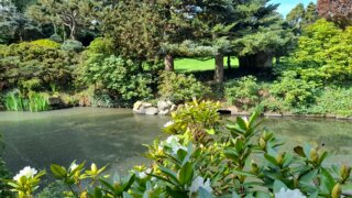 Meditační zahrada v Plzni 28.4.2026 / 27