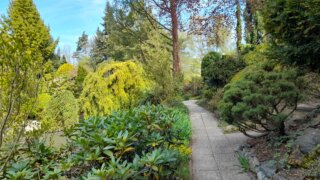 Meditační zahrada v Plzni 28.4.2026 / 29