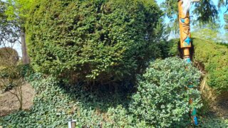 Meditační zahrada v Plzni 28.4.2026 / 31