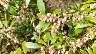 Meditační zahrada v Plzni 28.4.2026 / 32