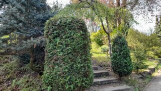 Meditační zahrada v Plzni 28.4.2026 / 33