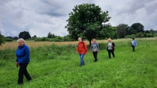 Bradava, kosatce, unikátní kořenová čistírna i mluvící krkavec / 3