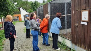 Bradava, kosatce, unikátní kořenová čistírna i mluvící krkavec / 6