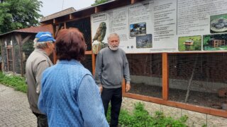 Bradava, kosatce, unikátní kořenová čistírna i mluvící krkavec / 8