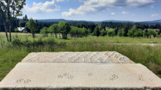 Šumavou od jednoho potoka k druhému / 4