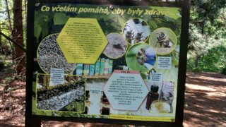 Arboretum Sofronka 26.5.2026 / 16