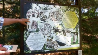 Arboretum Sofronka 26.5.2026 / 17