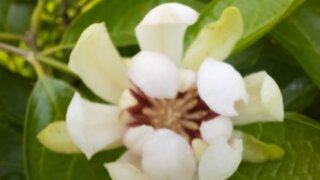 V Průhonickém parku podruhé: Letní kouzlo, botanické poklady a nové zážitky. / 14