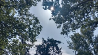 Do chotěšovského kláštera / 19