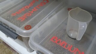 Pohodové odpoledne s vůní čerstvé kávy: Navštívili jsme rodinnou pražírnu Coffee77 / 6