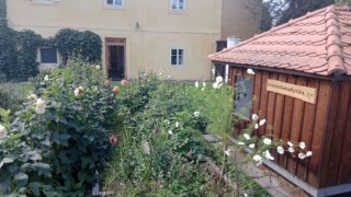 Do Plas / 11