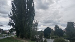 Sejdeme se u lavičky / 1