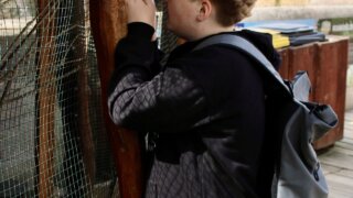Mentoringový a SAS výlet do Plas  plný minigolfu, zvířat a společných zážitků / 19